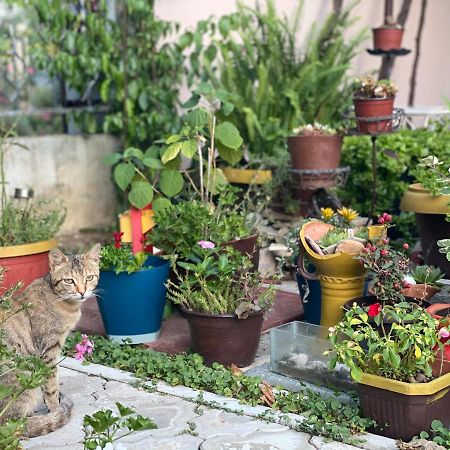 Apart Dom Jankovic Sutomore Dış mekan fotoğraf