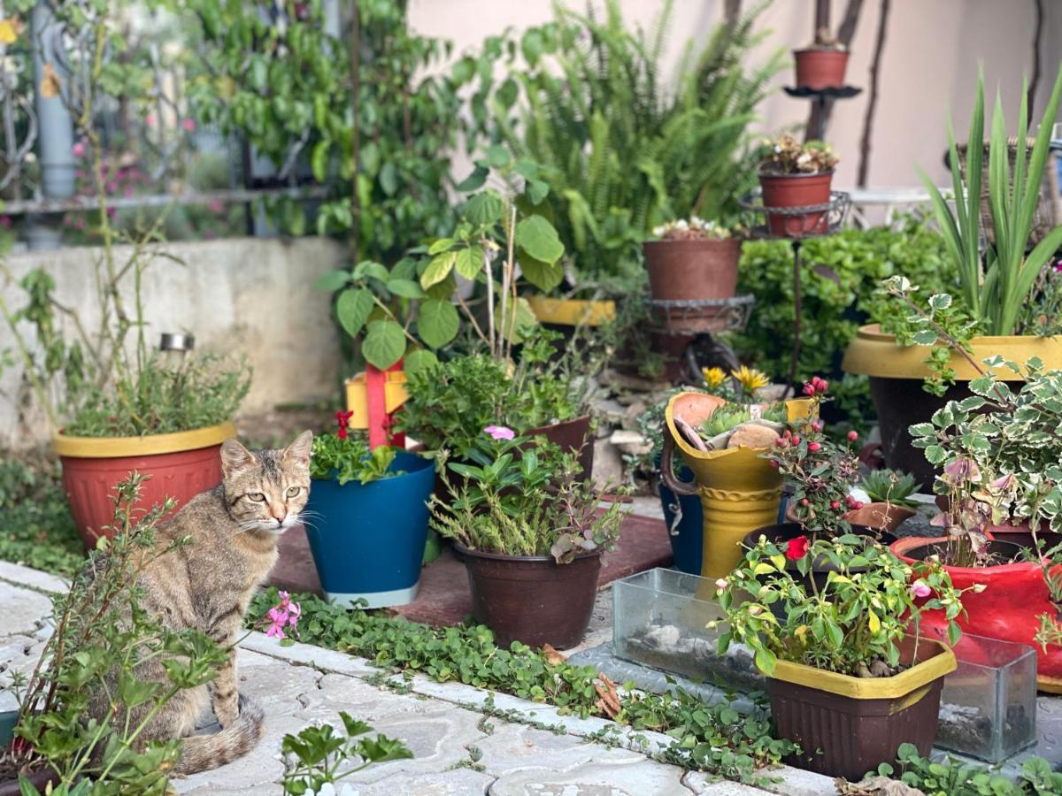 Apart Dom Jankovic Sutomore Dış mekan fotoğraf